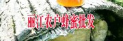 蜂蜜采购/供应商联系方式