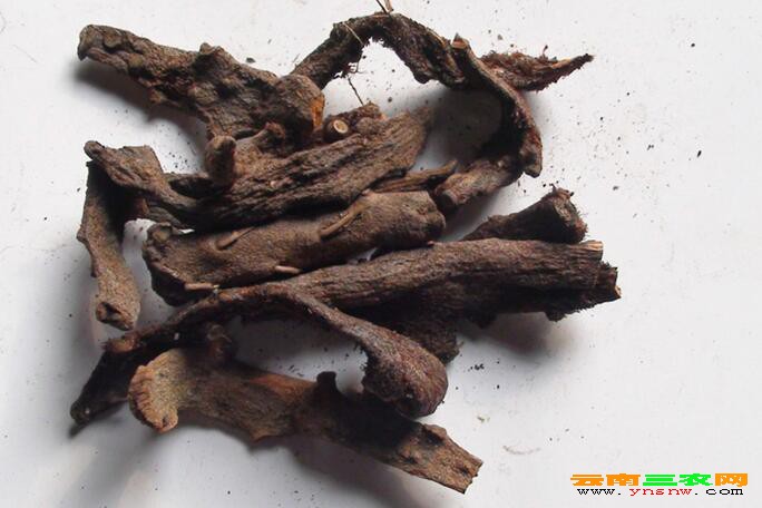 骨碎补多少钱一斤?骨碎补价格行情_2018骨碎补价格网
