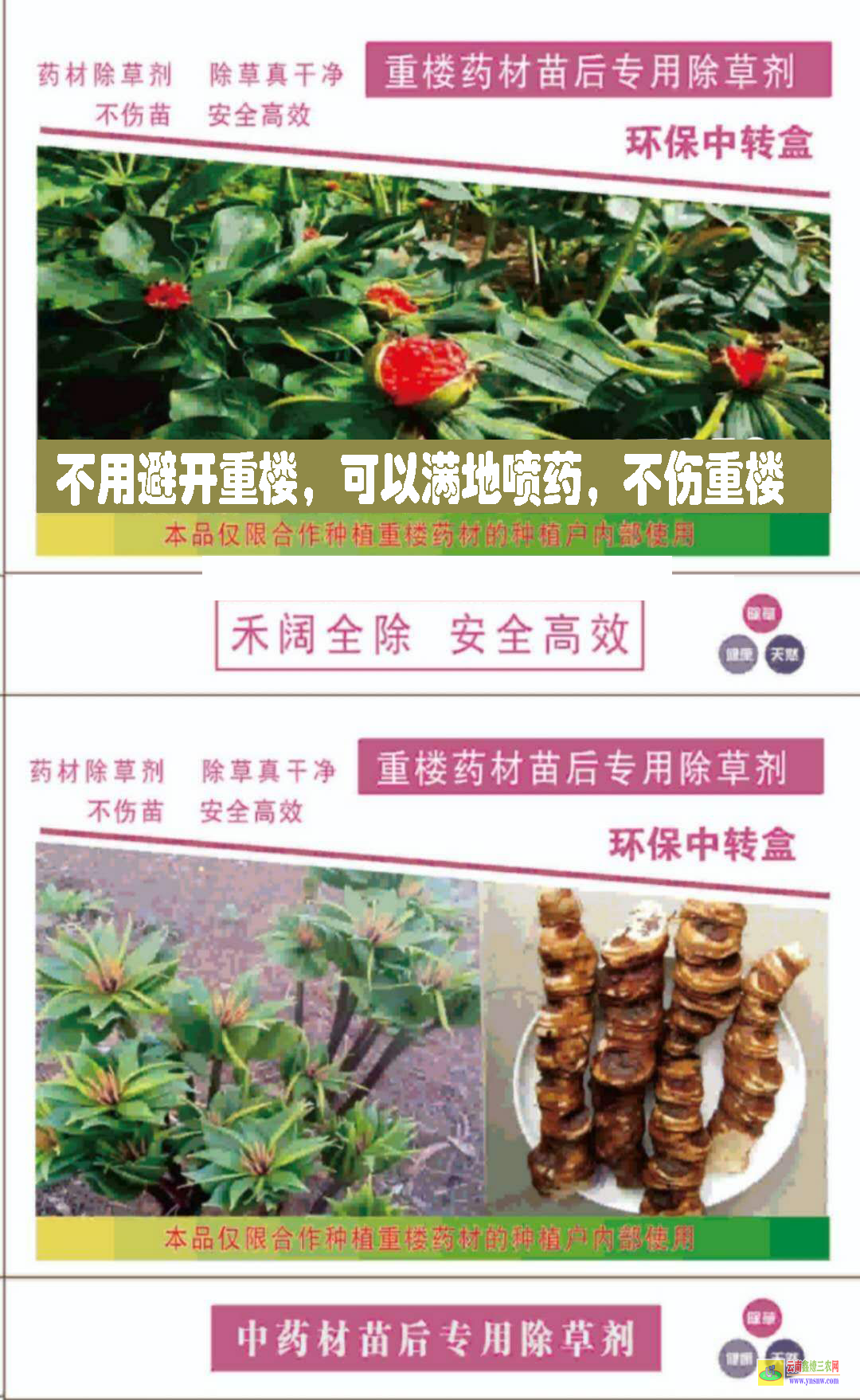 可以喷重楼的除草剂 重楼除草剂照片 重楼除草剂是真的吗